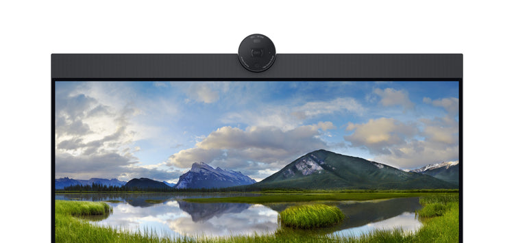 DELL CANADA DELL P2424HEB 60.5 cm (23.8") LCD 1920 x 1080 pixels Full HD (DELL-P2424HEB) - Cartouches Certifiees