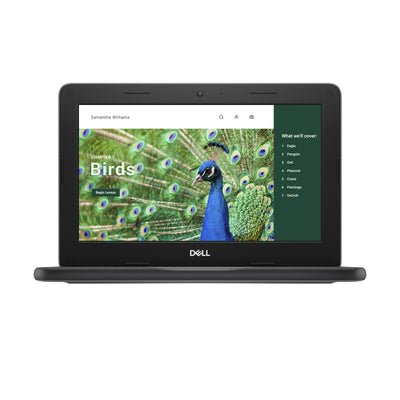 DELL Chromebook 3120 Intel® N N100 29.5 cm (11.6") HD 4 GB LPDDR5-SDRAM 64 GB Flash Wi-Fi 6 (802.11ax) ChromeOS US English Black (51R7C) - Cartouches Certifiees