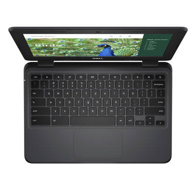 DELL Chromebook 3120 Intel® N N100 29.5 cm (11.6") HD 4 GB LPDDR5-SDRAM 64 GB Flash Wi-Fi 6 (802.11ax) ChromeOS US English Black (51R7C) - Cartouches Certifiees