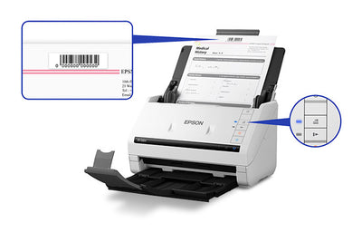 EPSON WorkForce scanner Sheet-fed scanner 600 x 600 DPI A4 White (B11B261202) - Cartouches Certifiees