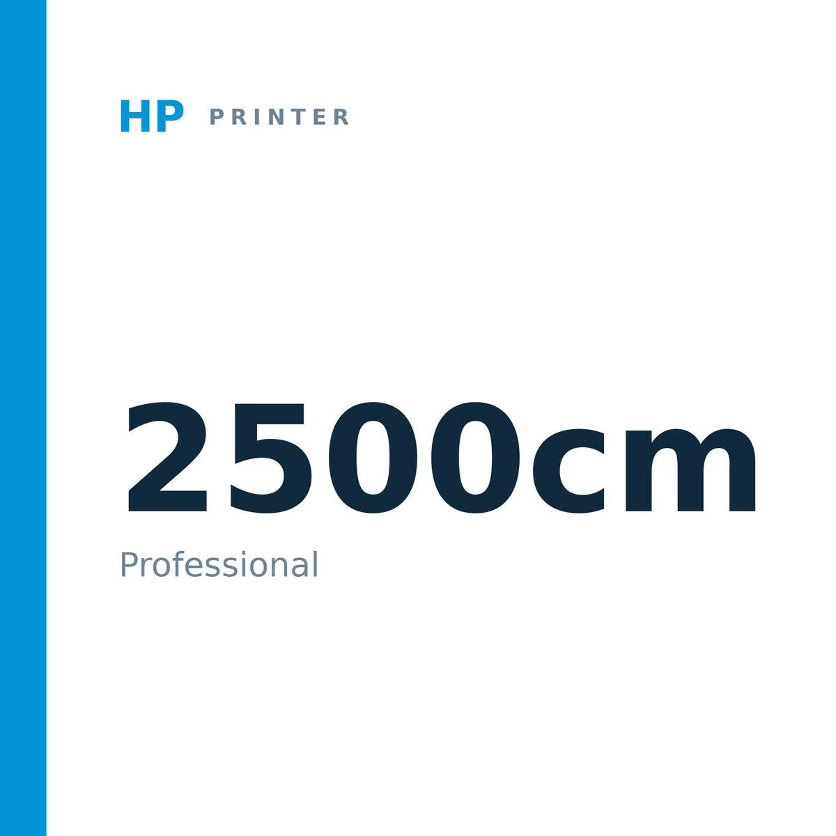 HP 2500cm Professional