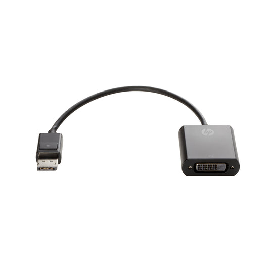 HP Adaptateur DisplayPort vers DVI-D (FH973AA)