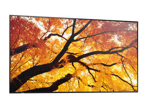SHARP ELECTRONICS Sharp MultiSync Interactive flat panel 2.48 m (97.5") LED 550 cd/m² 4K Ultra HD Black 24/7 (PN-M982) - Cartouches Certifiees