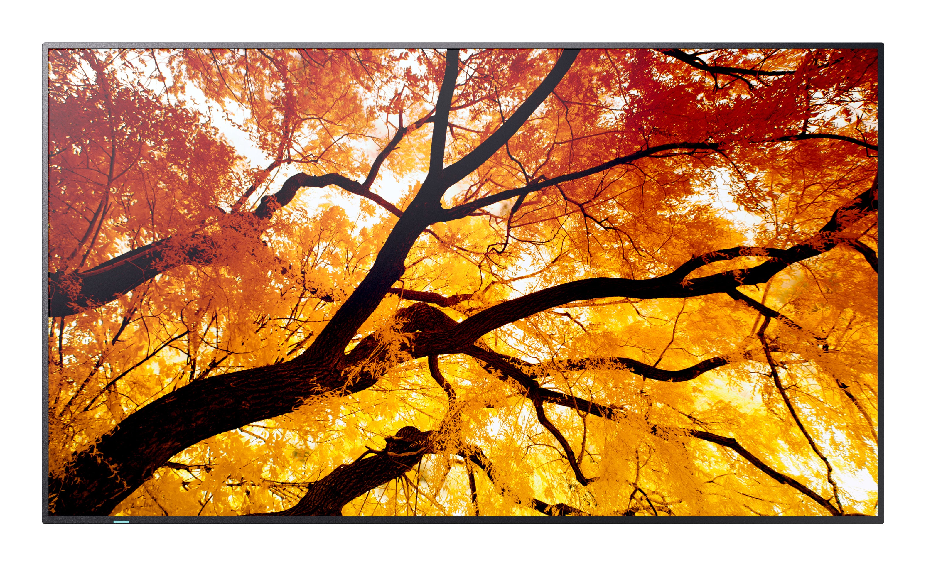 SHARP ELECTRONICS Sharp MultiSync M322 Digital signage flat panel 81.3 cm (32") LCD 550 cd/m² Full HD Black (PN-M322) - Cartouches Certifiees