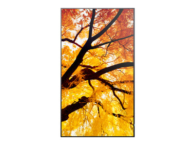 SHARP ELECTRONICS Sharp MultiSync M322 Digital signage flat panel 81.3 cm (32") LCD 550 cd/m² Full HD Black (PN-M322) - Cartouches Certifiees