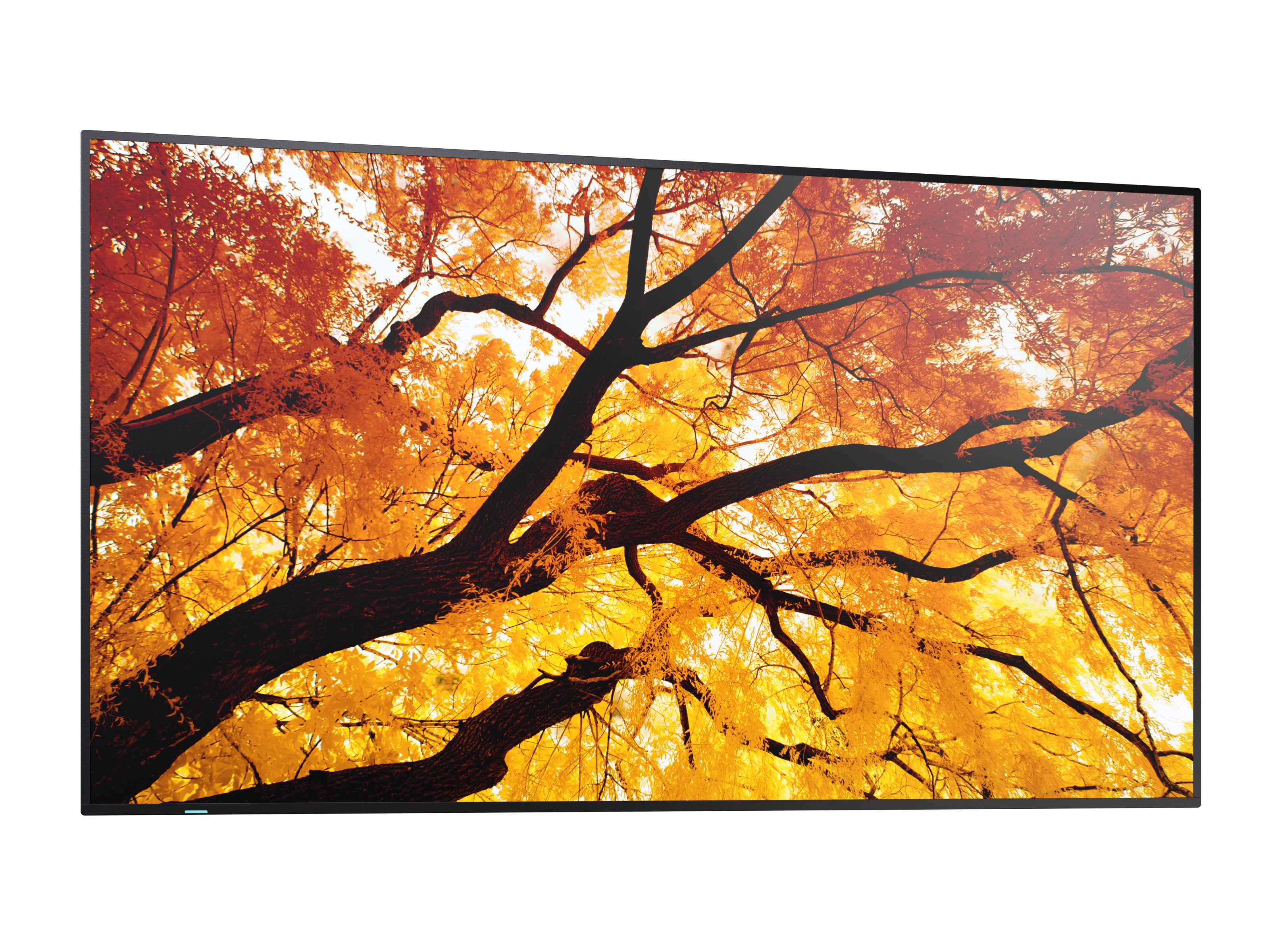 SHARP ELECTRONICS Sharp MultiSync M432 Digital signage flat panel 108 cm (42.5") LCD 550 cd/m² 4K Ultra HD Black (PN-M432) - Cartouches Certifiees