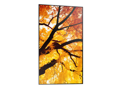 SHARP ELECTRONICS Sharp MultiSync M432 Digital signage flat panel 108 cm (42.5") LCD 550 cd/m² 4K Ultra HD Black (PN-M432) - Cartouches Certifiees
