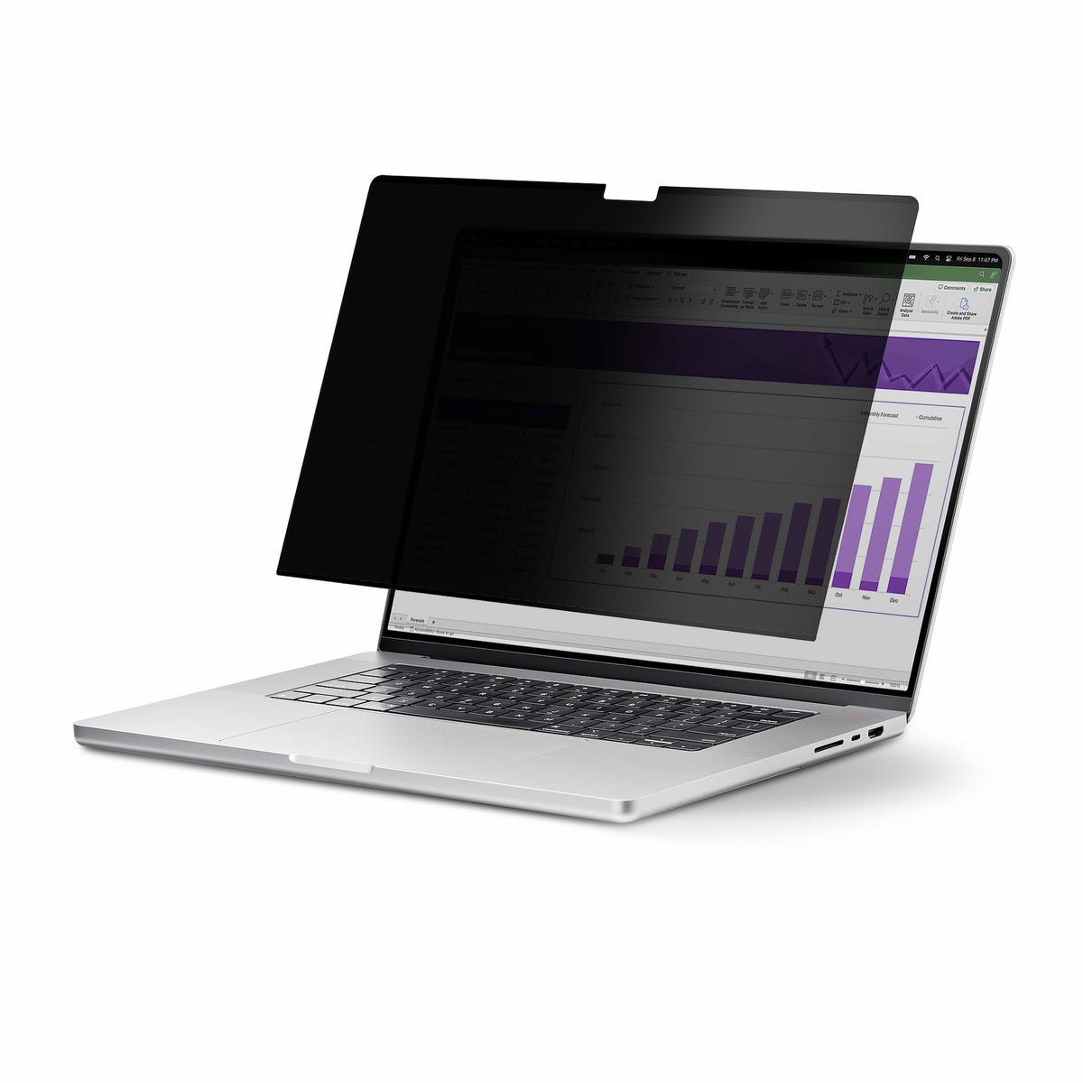 STARTECH .com display privacy filters 33,8 cm (13.3") Laptop Frameless display privacy filter (133T6-PRIVACY-SCREEN) - Cartouches Certifiees
