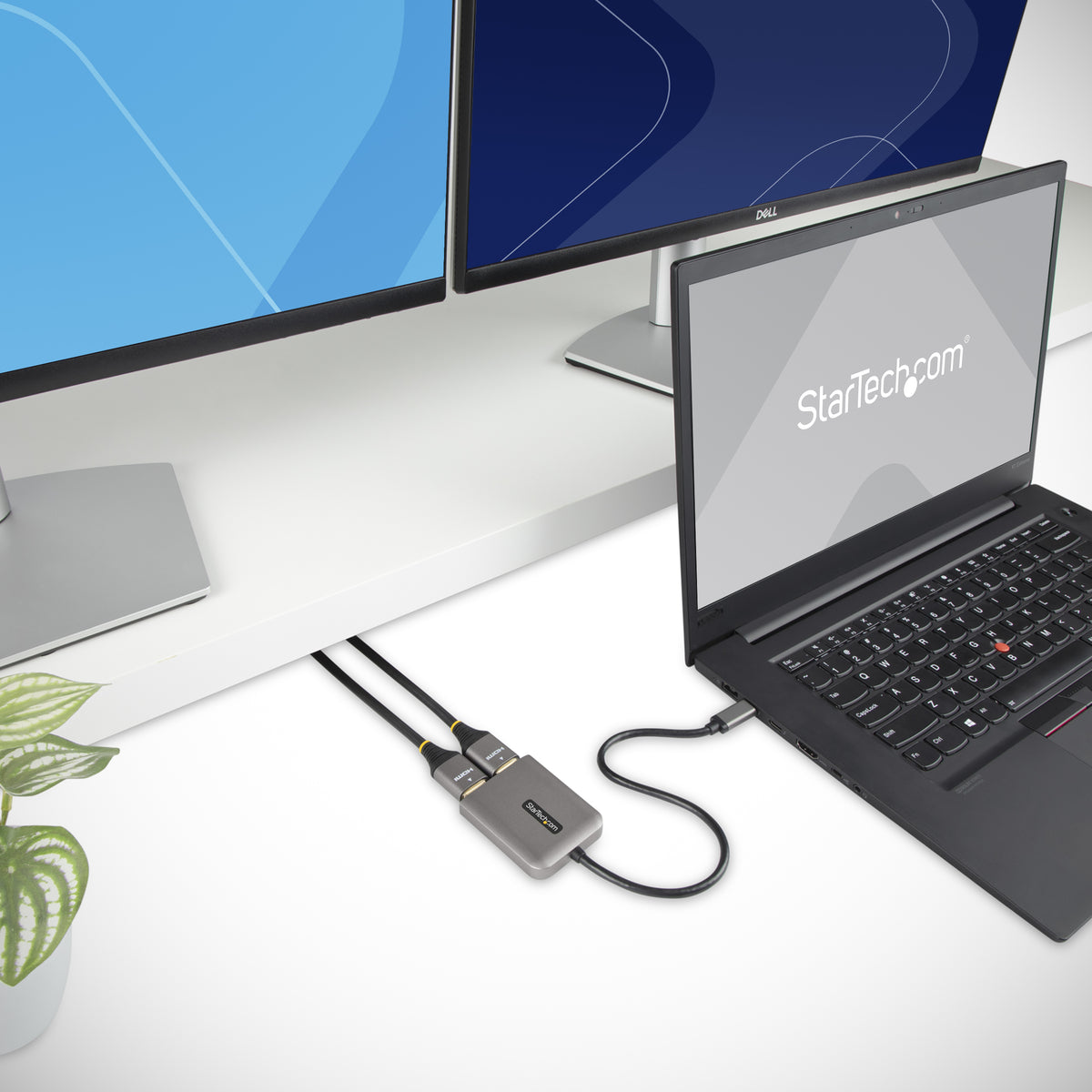 STARTECH .com USB graphics adapter 3840 x 2160 pixels Black, Grey (MST14CD122HD) - Cartouches Certifiees